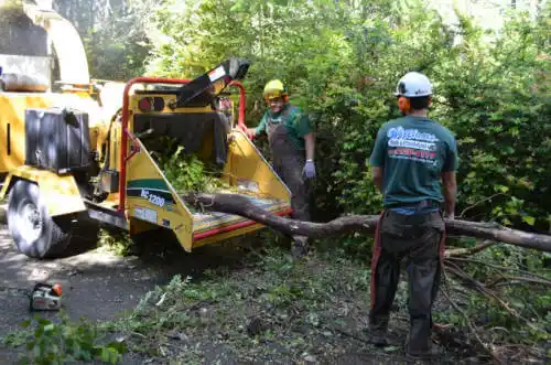 tree services Gumlog